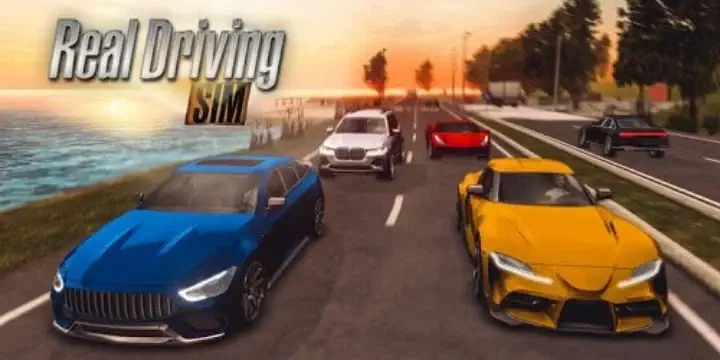 تحميل لعبة Real Driving Sim للاندرويد APK